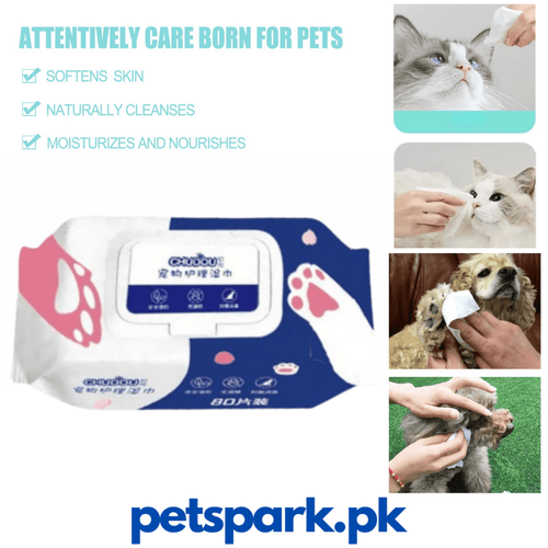 Cat/Dog Cleaning Wipes (100 Pieces) (Free Delivery)
