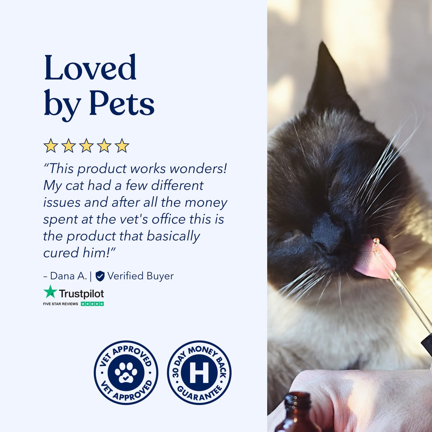 Well CBD Oil for Cats