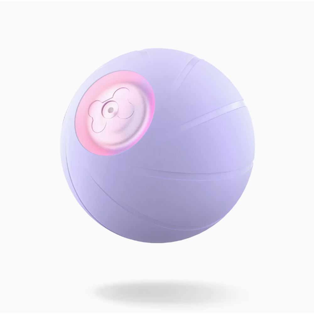 Wickedball Interactive Dog Toy PE/SE