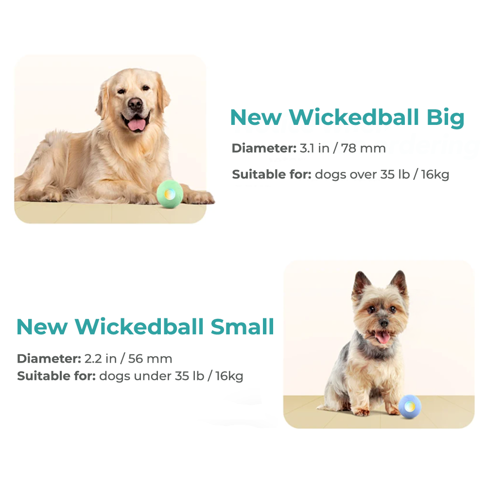 Wickedball Interactive Dog Toy PE/SE