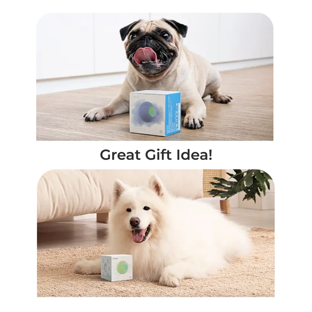 Wickedball Interactive Dog Toy PE/SE