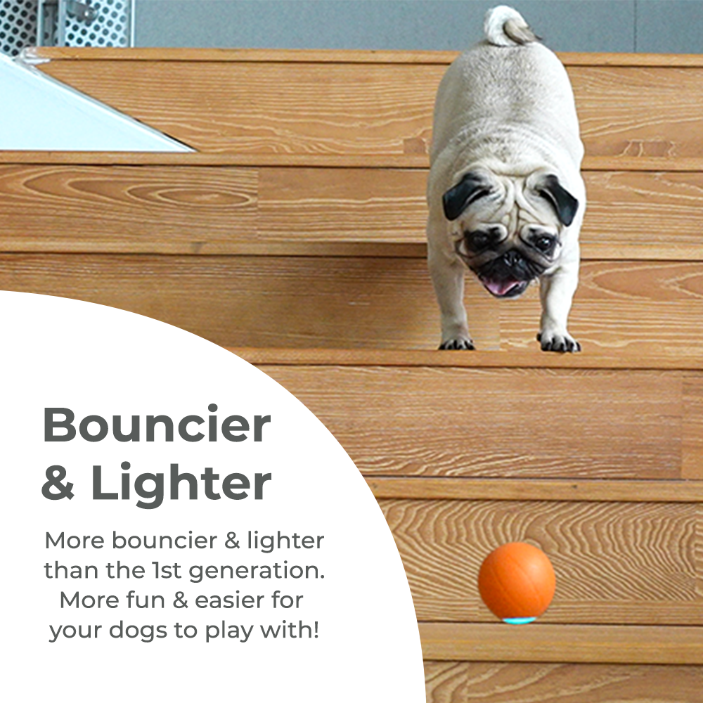 Wickedball Interactive Dog Toy PE/SE