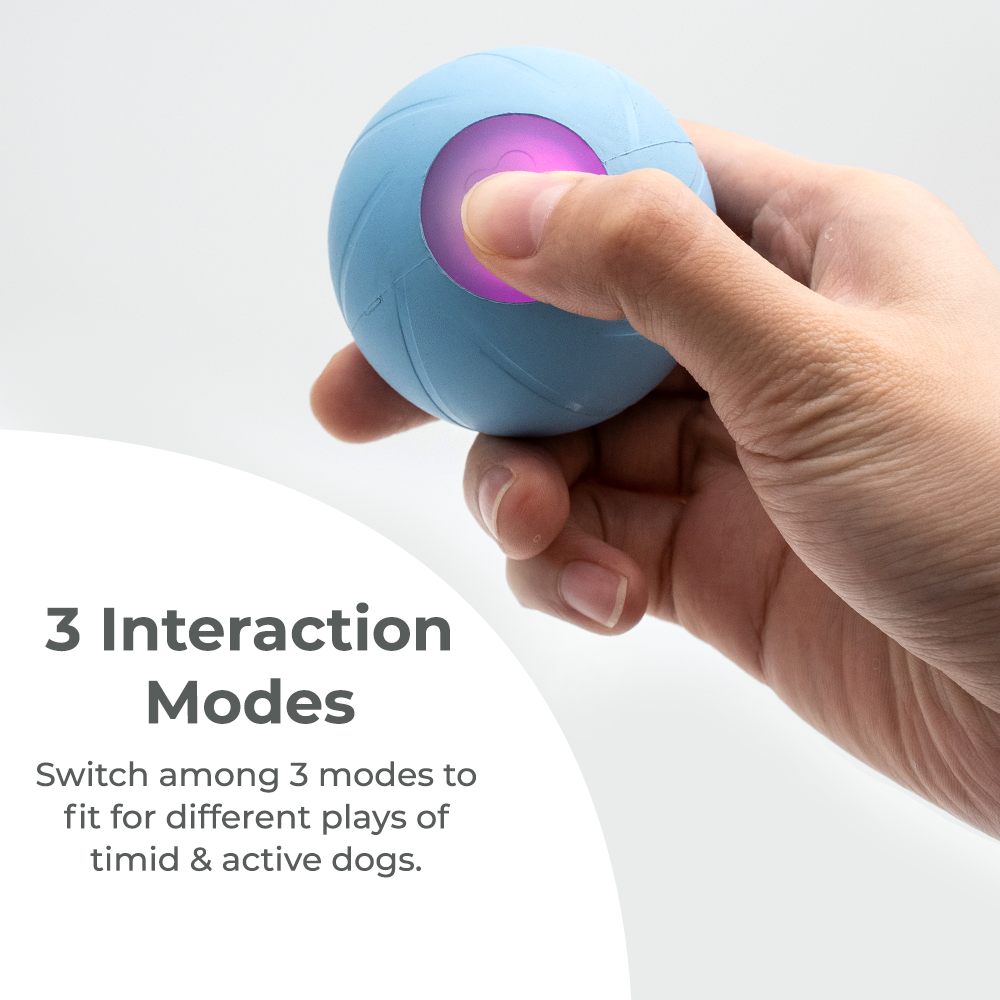 Wickedball Interactive Dog Toy PE/SE