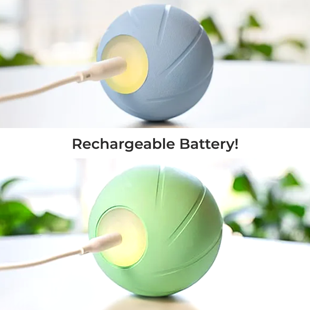 Wickedball Interactive Dog Toy PE/SE