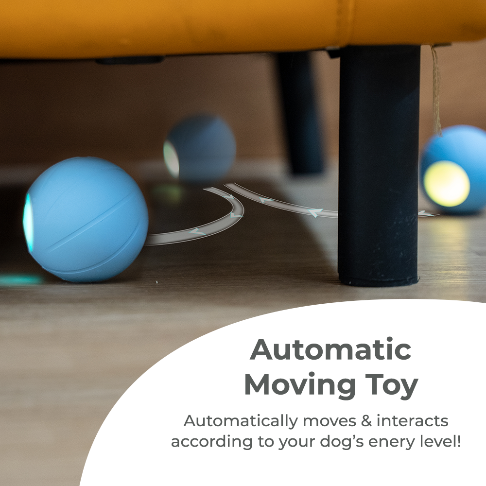 Wickedball Interactive Dog Toy PE/SE
