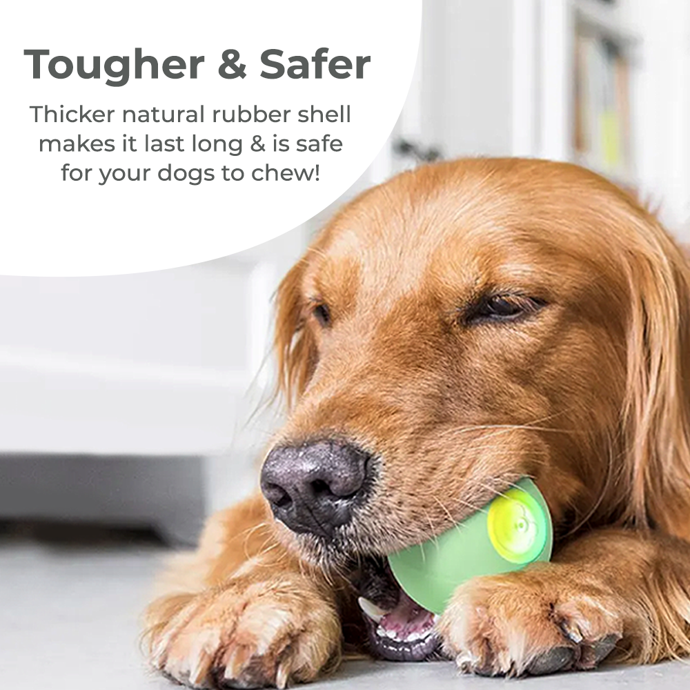 Wickedball Interactive Dog Toy PE/SE