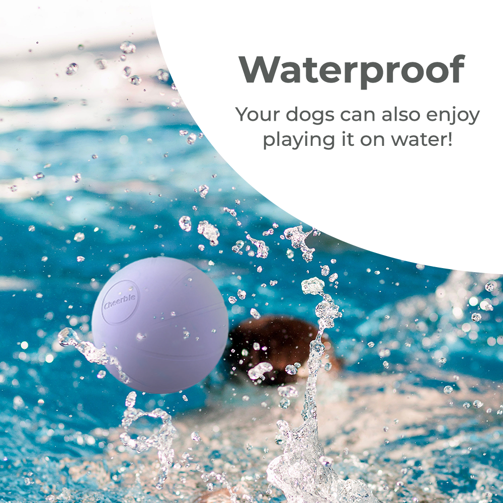 Wickedball Interactive Dog Toy PE/SE