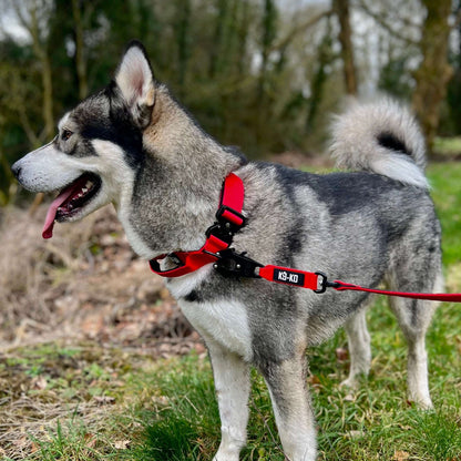 Swivel Combat Lead 1.5m - K9-KO