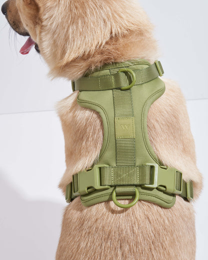 Harness