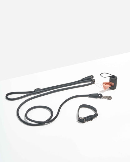 Hands-Free Collar Walk Kit