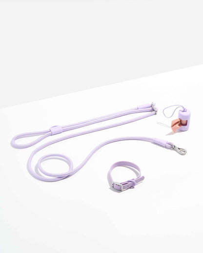 Hands-Free Collar Walk Kit