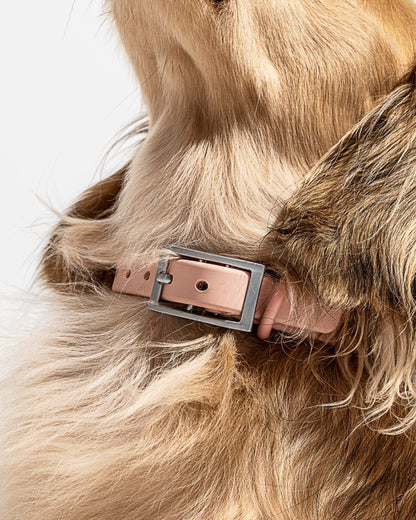 Collar