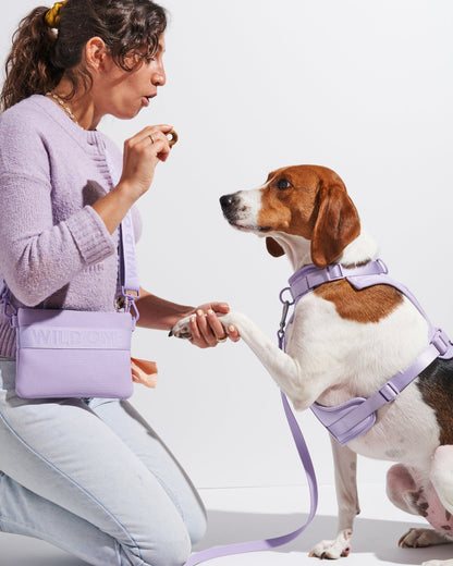 Treat Pouch Kit