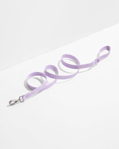 Lightweight Nylon Leash