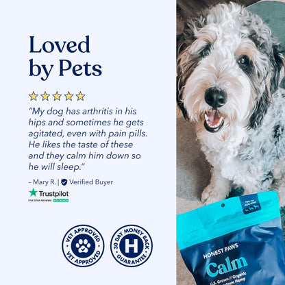 Calm CBD Essentials
