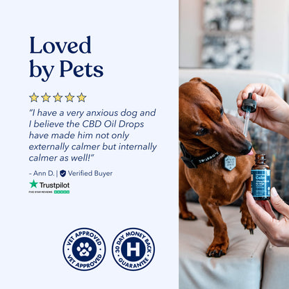 Calm CBD Essentials