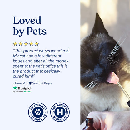 Well CBD Oil for Cats