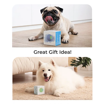 Wickedball Interactive Dog Toy PE/SE