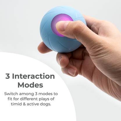 Wickedball Interactive Dog Toy PE/SE